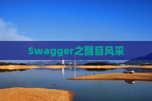 Swagger之醒目风采